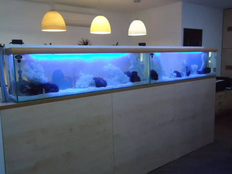 Изготовление аквариумов любой сложности и объема,  обслуживание. 4