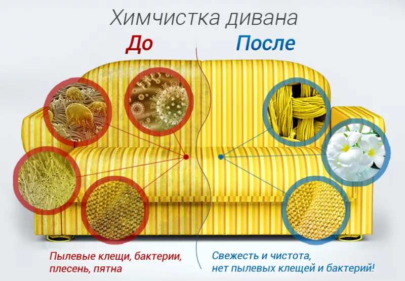 Глубокая химчистка профессиональным оборудованием. 