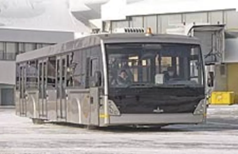 Перонный автобус МАЗ-171075