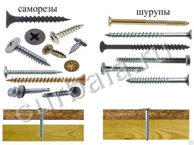 Болты мебельные DIN603. Качественно.