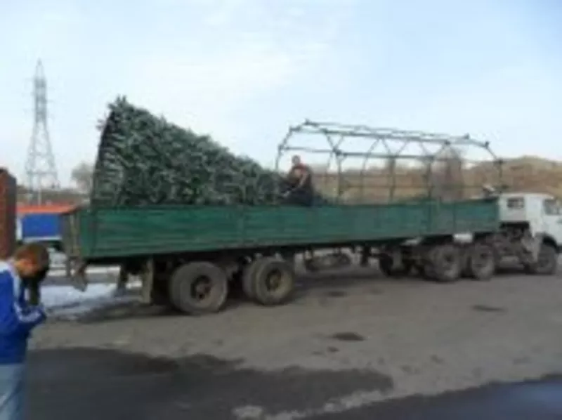 сварочные работы на заказ 5