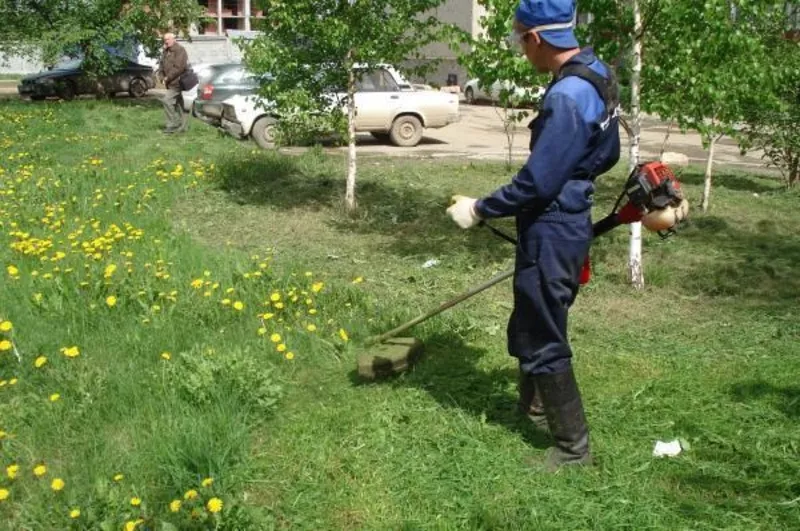 Покос травы. Stroy 2