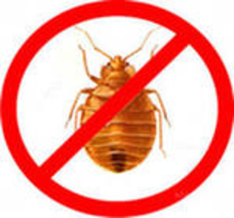 Дезинфекция от постельных клопов. Выведение клопов тараканов. Выведение клопов тараканов. Выведение клопов тараканов. Обработка от постельных клопов.