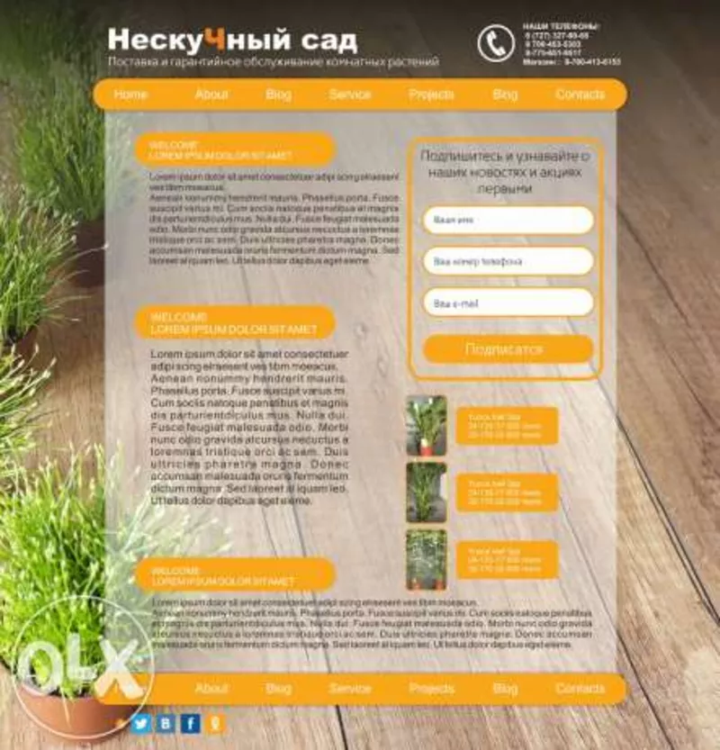 Разработка сайтов с эксклюзивным дизайном в Алматы 6