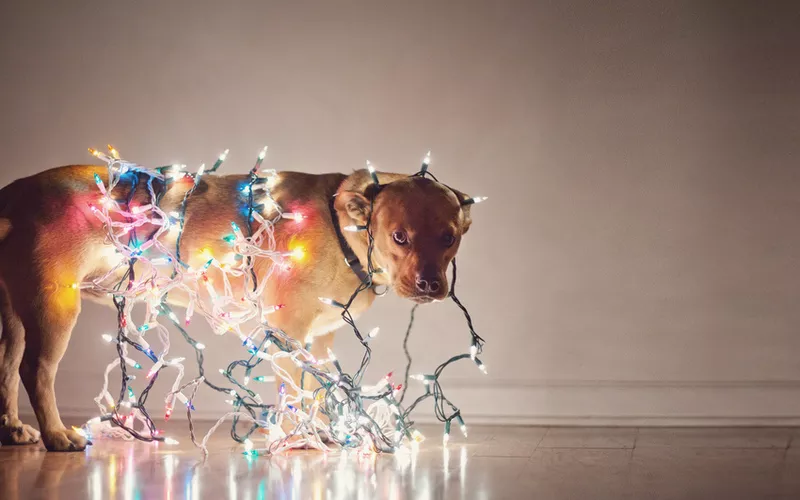 Электромонтажные работы в Алматы 2