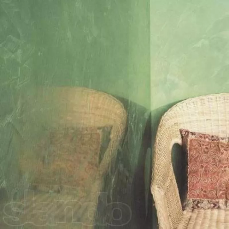 Леонардо , Венецианка нанесение