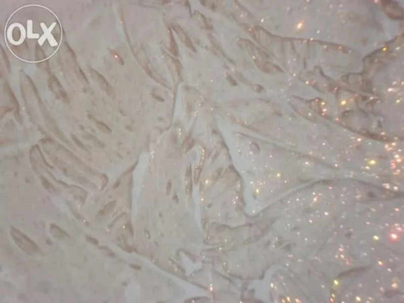 Венецианка ,  Леонардо  2