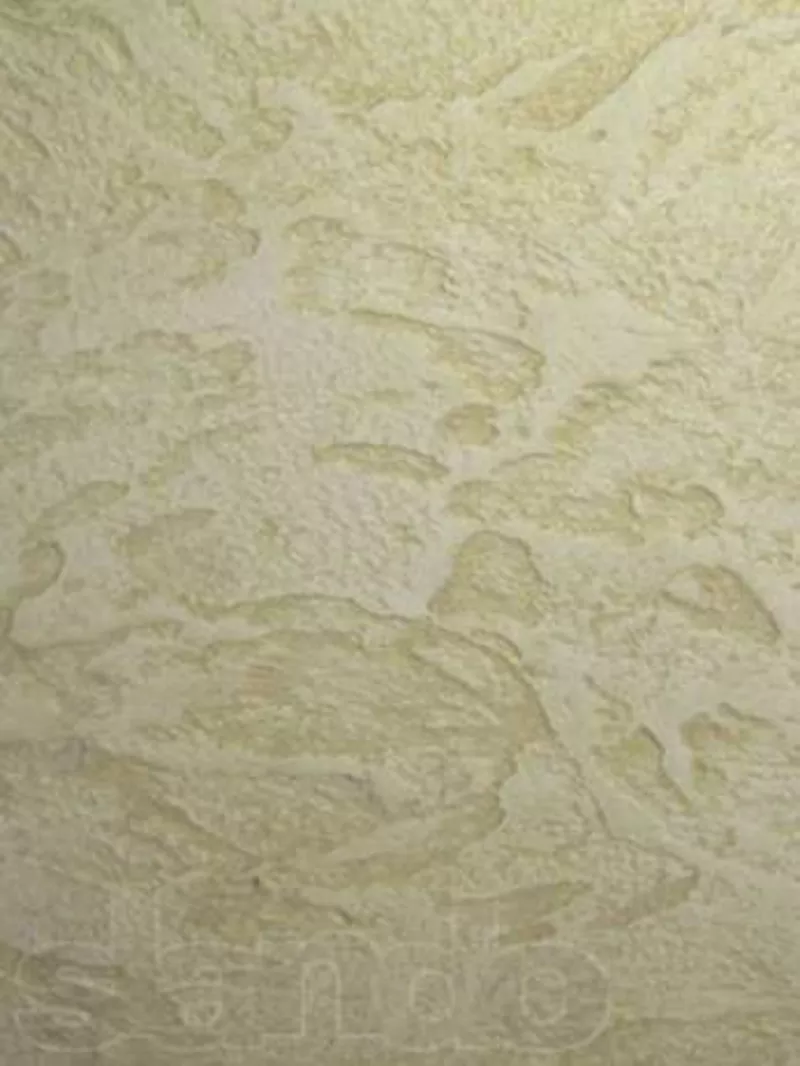 Венецианка ,  Леонардо  4