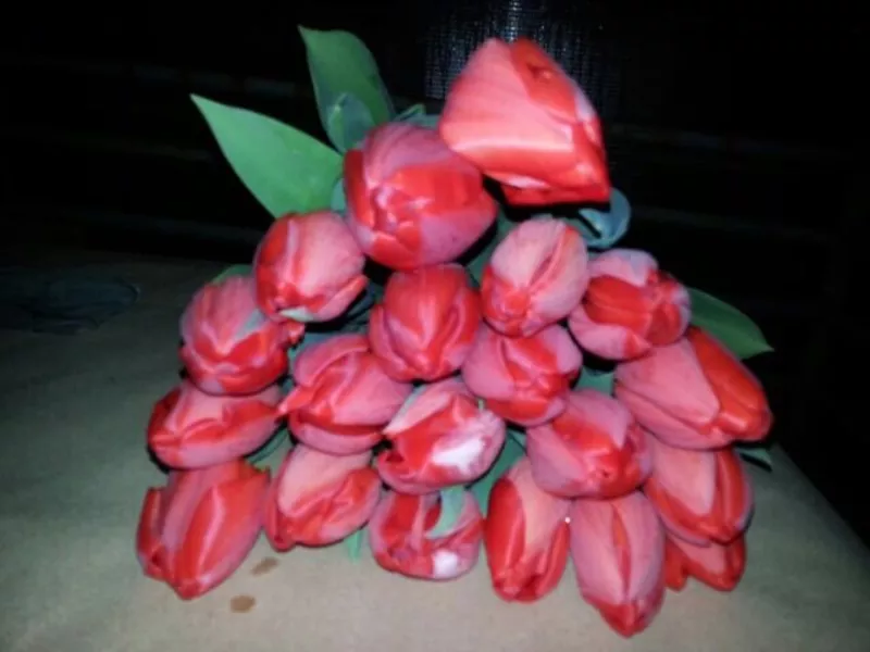  Десять красивых сортов Тюльпан к 8 марта! 13