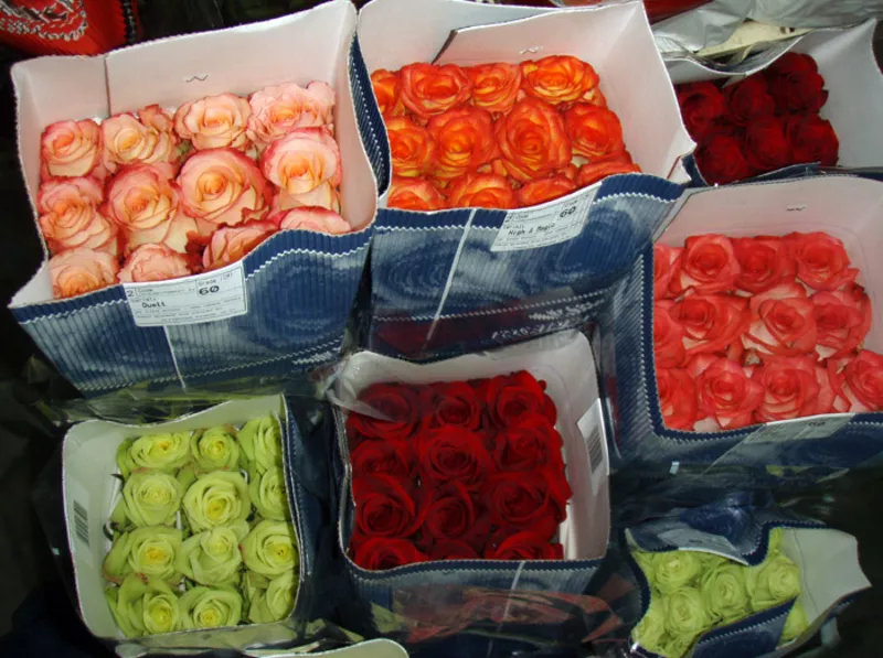 Голландские розы оптом от 150 тг  2