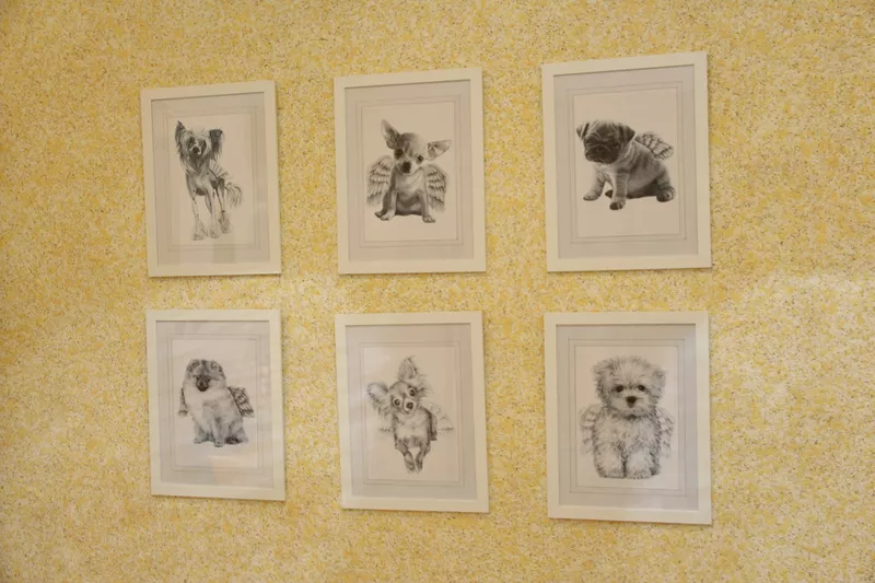 Жидкие обои Silk Plaster в Алматы!