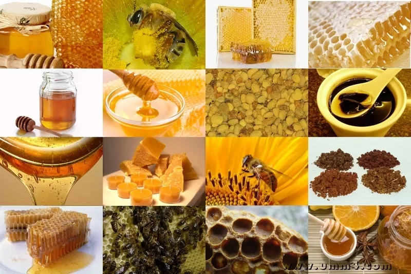 Мед и медовая продукция 2