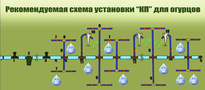 СКП Система капельного полива 2