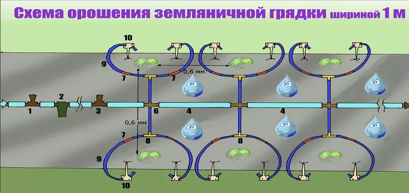 СКП Система капельного полива 5