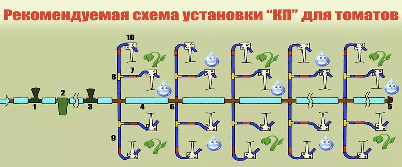 СКП Система капельного полива 6