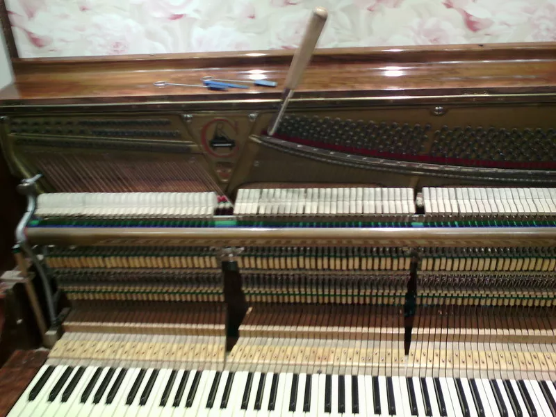 Настройка пианино, фортепиано,  рояля и предосмотр перед покупкой и ремонт 12