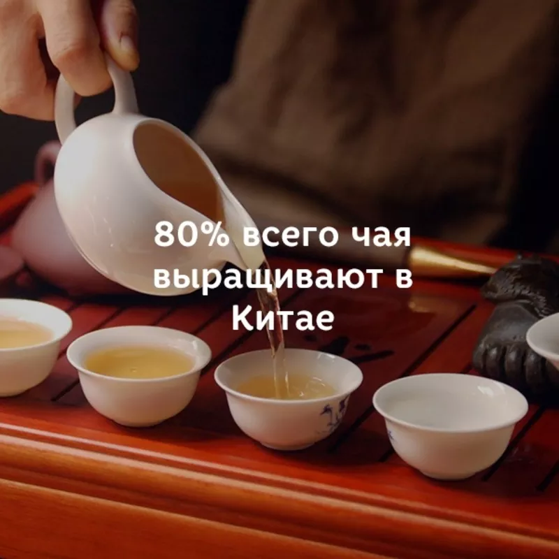 Натуральный китайский чай в Алматы! 