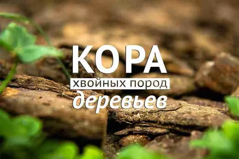 Шелуха какао,  кора хвойных пород,  мульча 5