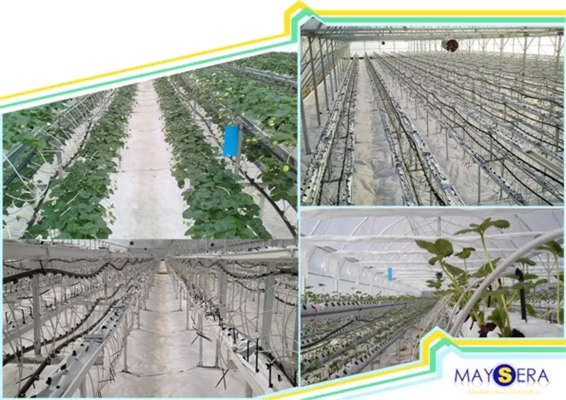 Производство и установка теплиц 7