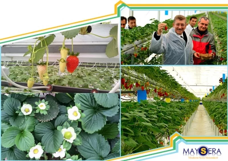 Производство и установка теплиц 8