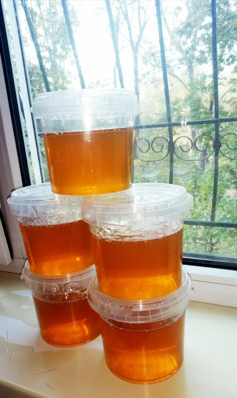 Продается мёд: степное разнотравье + хлопковый 1кг = 1300 тг