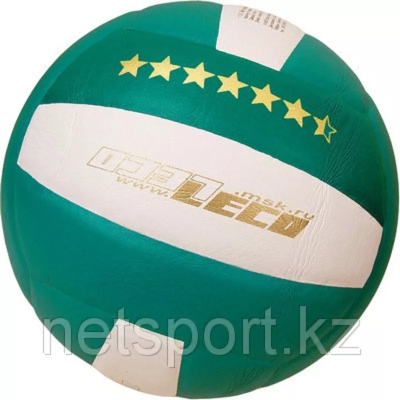 мячи волейбольные 4