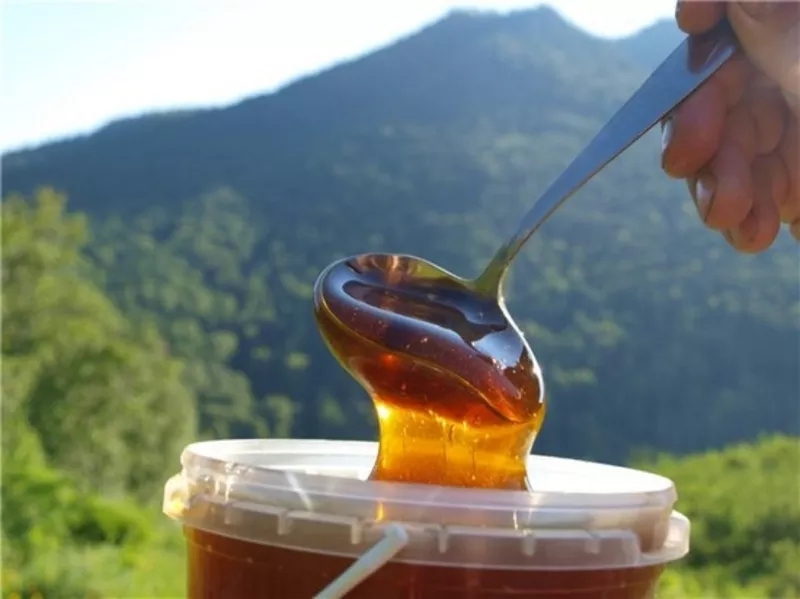 Продаем горный мед оптом в пригороде Алматы (Иссыке)