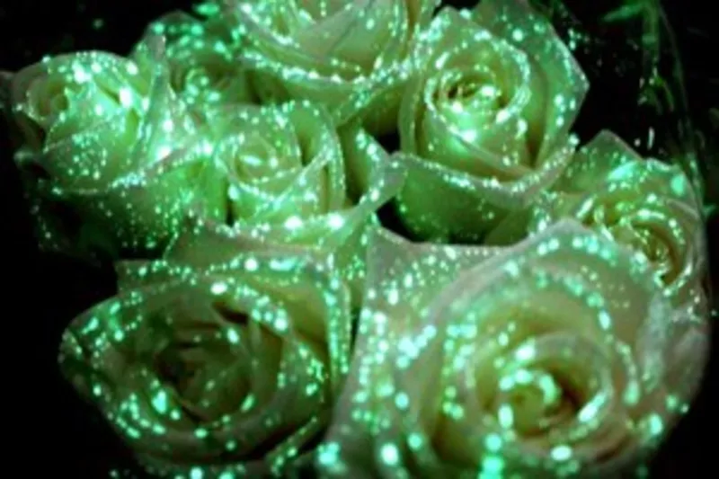 Флористическая краска (био-гель) для цветов светящаяся в темноте