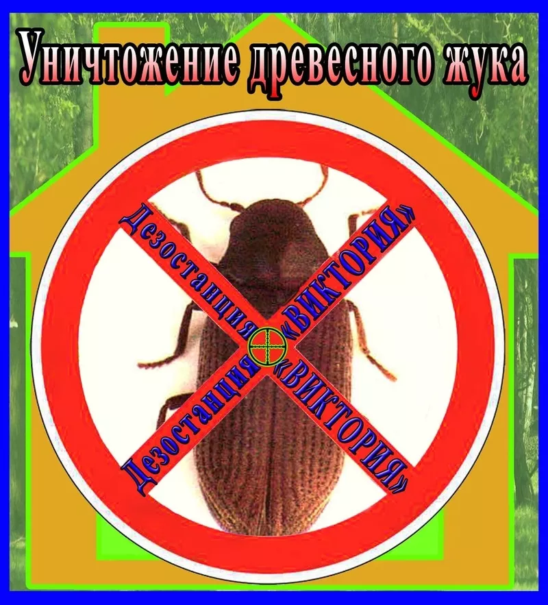 Уничтожение древесного жука короеда в Алматы и области.