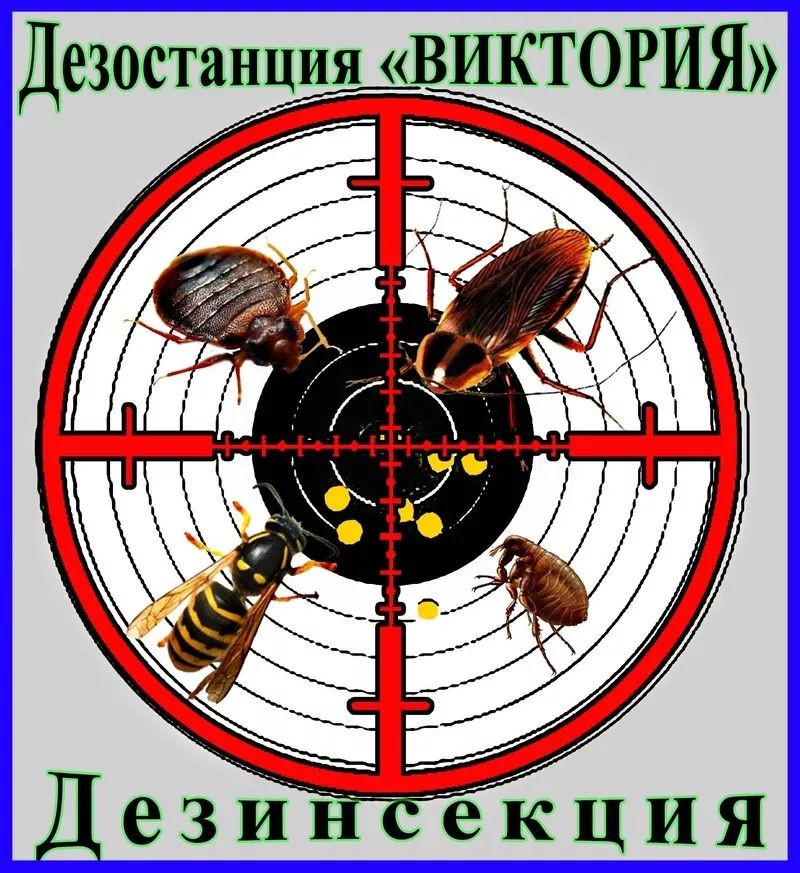 Дезинсекция - уничтожение насекомых в Алматы