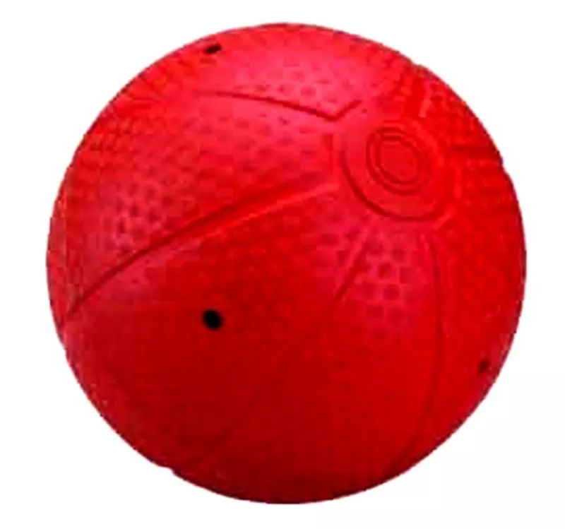 Мяч для слепых FS 584