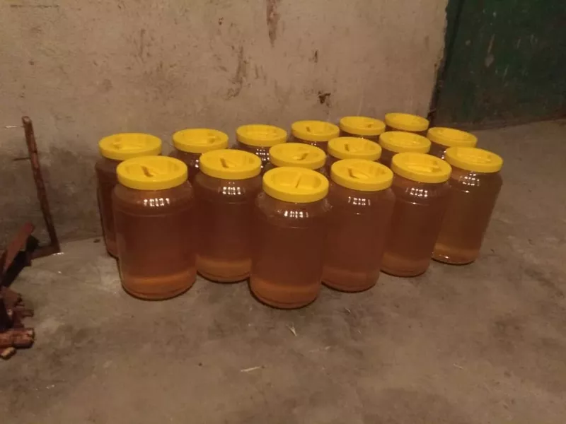 Горно Иссык-Кульский мёд. 4