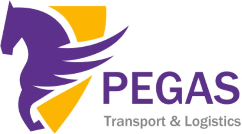 Доставка грузов из Китая,  России,  Европы и Турции от PEGAS LOGISTICS