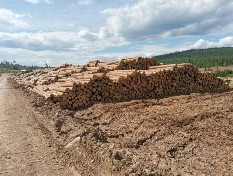 Вагонка,  террасная доска,  доска пола,  имитация бруса,  планкен. 6