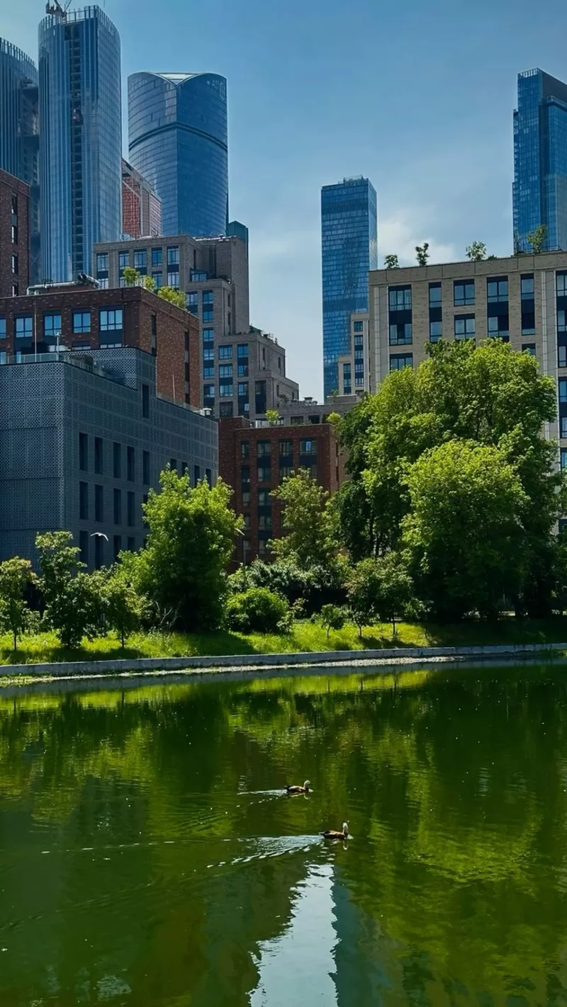 Недвижимость в Москве и Подмосковье – путь к жизни и бизнесу в России 5