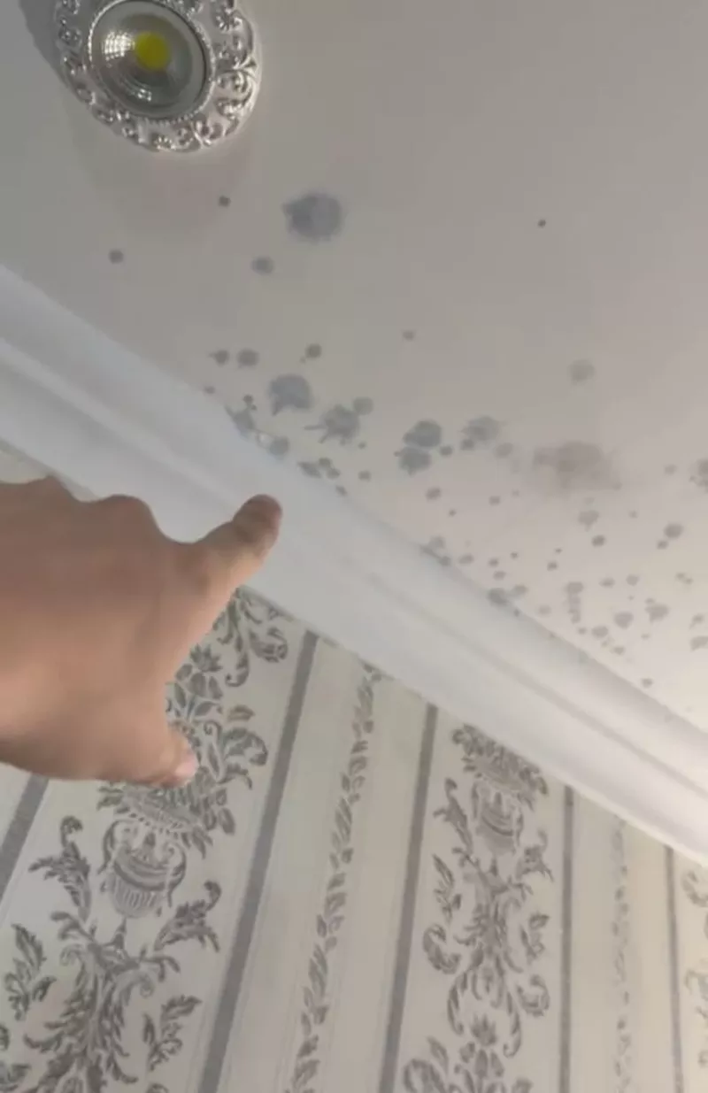 Удаление пятен на потолке 100% гарантия 3