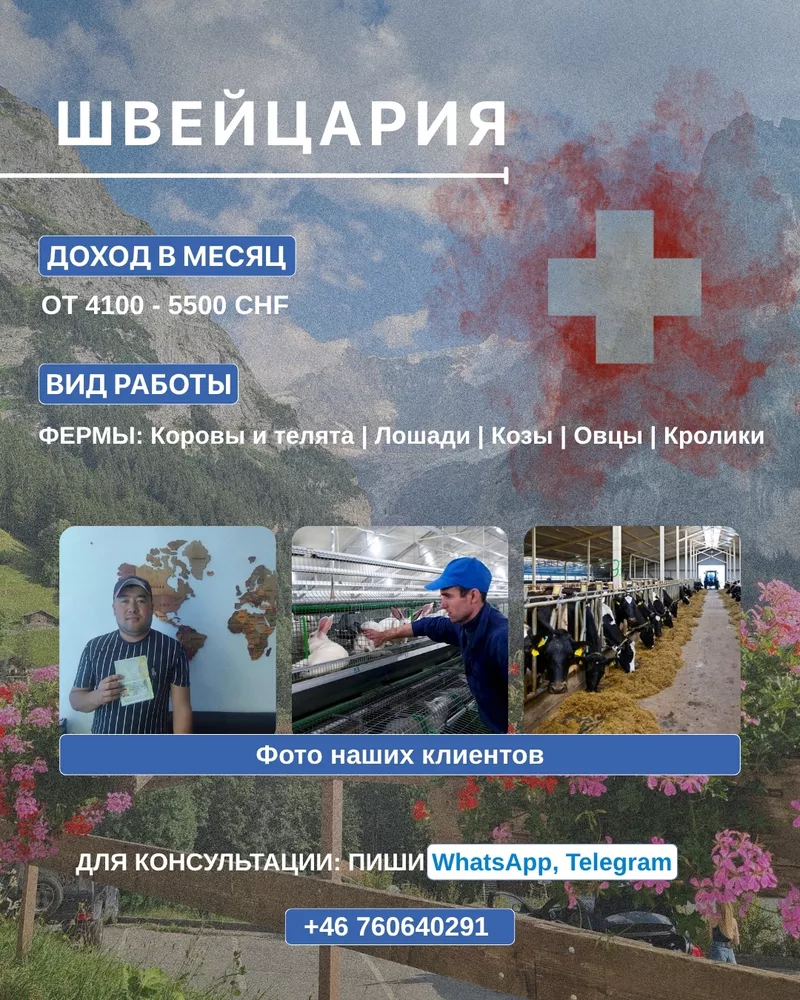 Pабота на фeрме в Швейцарии