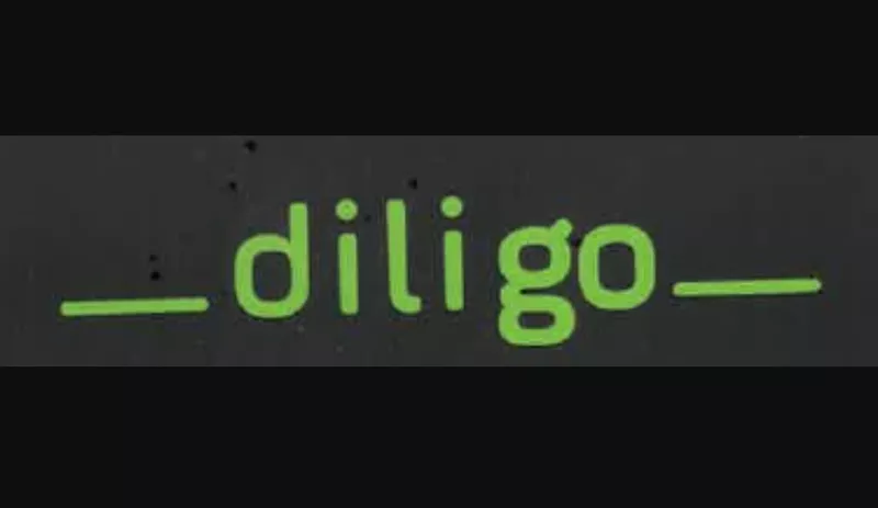 Водитель категории C+E в Польшу,  фирма Diligo Korycinski