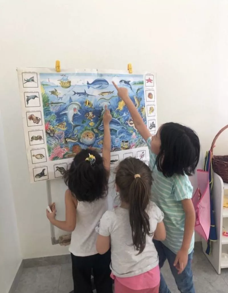 6 сыныпқа дейін математика пәнінен репетитор  4