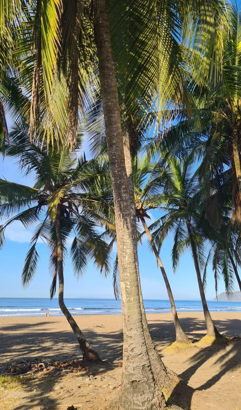 ИЩЕМ ПАРТНЁРОВ В ОНЛАЙН-ПРОЕКТ В СФЕРЕ МЕЖДУНАРОДНОГО ТУРИЗМА!  9