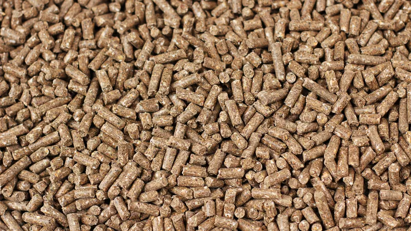 Гранулы из люцерны,  люцерна в гранулах,  корм гранулы 3