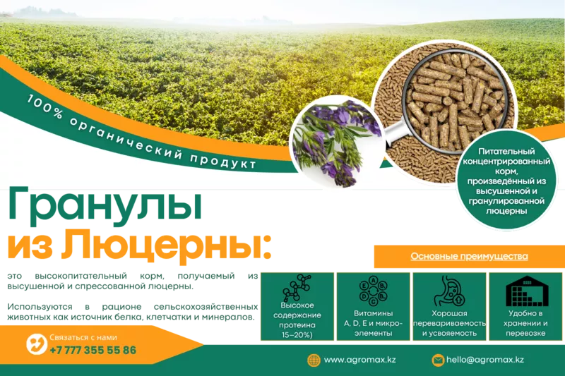 Гранулы из люцерны,  люцерна в гранулах,  корм гранулы