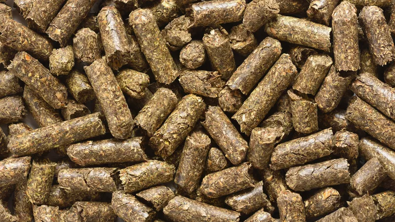 Гранулы из люцерны,  люцерна в гранулах,  корм гранулы 2
