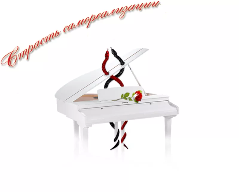 Авторские тренинги Шпак Евгении